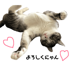 [LINEスタンプ] かなたくんと仲間たち