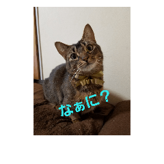 [LINEスタンプ] ワッツマンのスタンプ