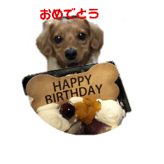 [LINEスタンプ] ぶさいく