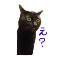 [LINEスタンプ] まぴアニマル！！