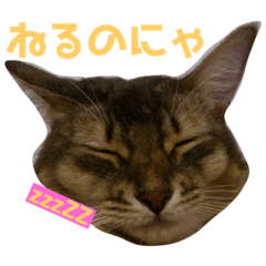 [LINEスタンプ] すもりんず