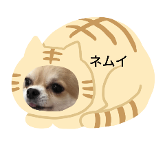 [LINEスタンプ] 翼と紫のスタンプだよ①