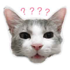 [LINEスタンプ] ゆるっときな子③