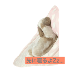 [LINEスタンプ] シーズー達の日常スタンプ