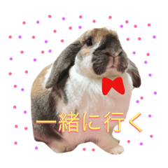 [LINEスタンプ] モカ蔵2