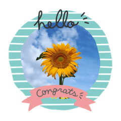 [LINEスタンプ] 私の好きな花