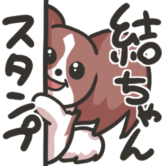 [LINEスタンプ] パピヨンの結ちゃんスタンプ