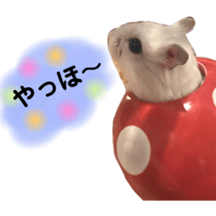 [LINEスタンプ] ハムスター❤︎おもちのほっこりスタンプ❤︎