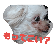 [LINEスタンプ] もりもり森 もこもこ