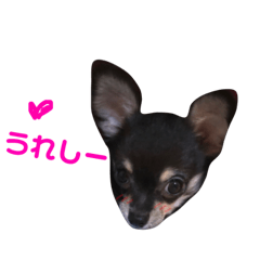 [LINEスタンプ] はにこさんときどきまめ太3