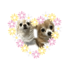 [LINEスタンプ] ミミちゃん♥️モモちゃん