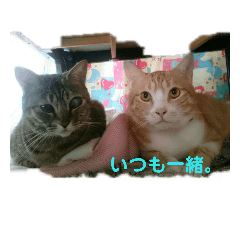 [LINEスタンプ] ちゃら一家 ①