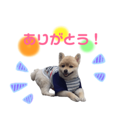 [LINEスタンプ] やんスタンプpart2