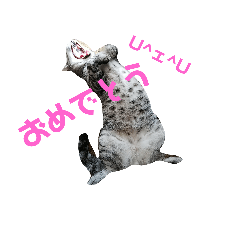 [LINEスタンプ] チェリーファミリーパート2