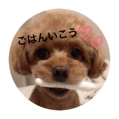 [LINEスタンプ] こもも♡るう♡ちー♡ころ♡りっちゃん♡