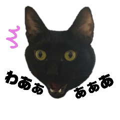 [LINEスタンプ] 今日の田中家
