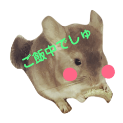 [LINEスタンプ] チンチラの日常①