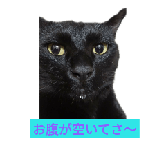 [LINEスタンプ] Choco Room