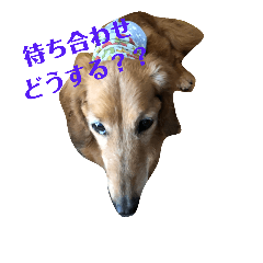 [LINEスタンプ] ダックスその他の愉快な仲間たちの日常10
