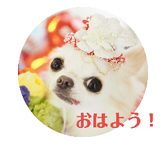 [LINEスタンプ] ゆきっち