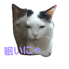 [LINEスタンプ] まい猫