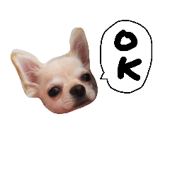 [LINEスタンプ] ロンチーくりちゃん