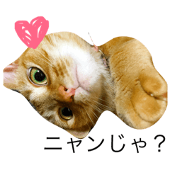 [LINEスタンプ] もずくたん。