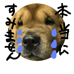 [LINEスタンプ] チャウ日和5