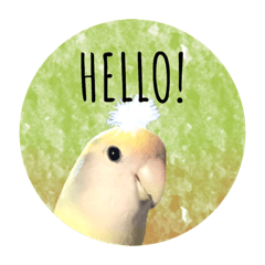 [LINEスタンプ] コザクラインコ ふき vol.1