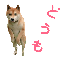 [LINEスタンプ] ソラマメタロウ40