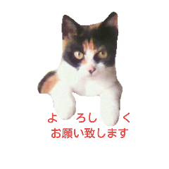 [LINEスタンプ] しゅしゅりん♪