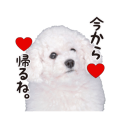[LINEスタンプ] こぶた(キュート)