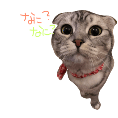 [LINEスタンプ] でいごと申します。