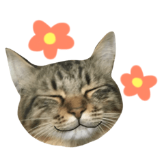 [LINEスタンプ] まるとすずのスタンプ1
