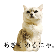 [LINEスタンプ] るーちゃん。