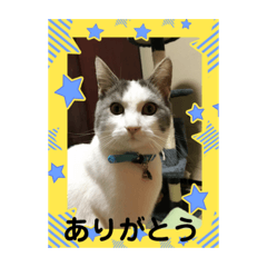 [LINEスタンプ] ゆっくりね！