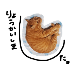 [LINEスタンプ] うちのちゃちゃ