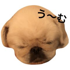 [LINEスタンプ] にょっちゃんとふぅちゃん