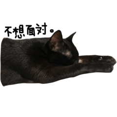 [LINEスタンプ] 黒猫チュミ
