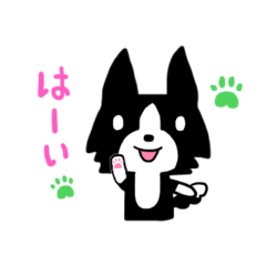 [LINEスタンプ] ボーダーコリーのクロちゃん