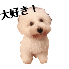 [LINEスタンプ] ポ助②