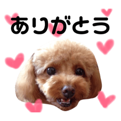 [LINEスタンプ] こももスタンプ