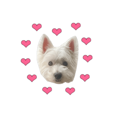 [LINEスタンプ] ウエスティのごん太