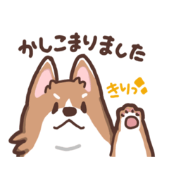 [LINEスタンプ] ゆるコーギー【敬語】