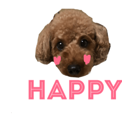 [LINEスタンプ] 蓮くん凛ちゃん