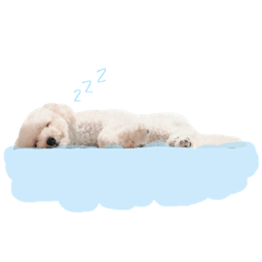 [LINEスタンプ] ココ わんこすたんぷ
