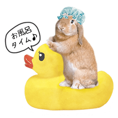 [LINEスタンプ] ぷーまーみーの日常スタンプ