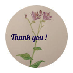[LINEスタンプ] 植物画風スタンプ