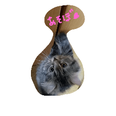 [LINEスタンプ] ウフフ