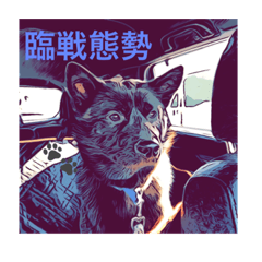 [LINEスタンプ] 甲斐犬 カイくん